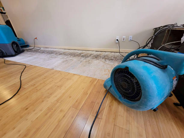 Professional Structural Drying technician working in Salisbury, NH